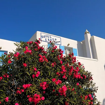 Hotell Erato Mykonos Ornos (Mykonos)