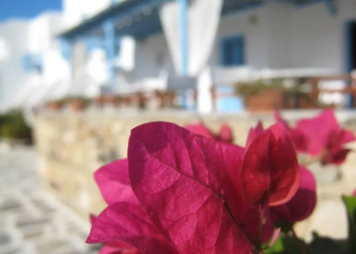 Hotell Erato Mykonos Ornos (Mykonos)