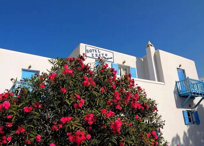 Hotell Erato Mykonos Ornos (Mykonos)