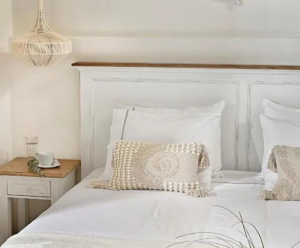 Erato Mykonos أورنوس